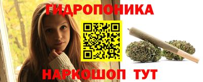 хмурый Кимры