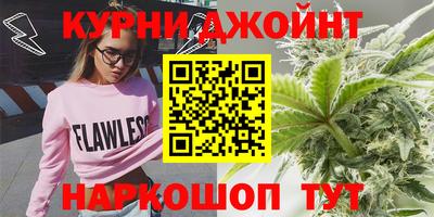 эйфоретик Кингисепп