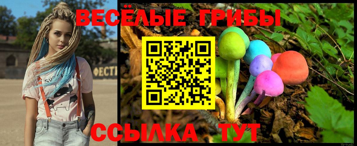 Галлюциногенные грибы GOLDEN TEACHER Красноярск