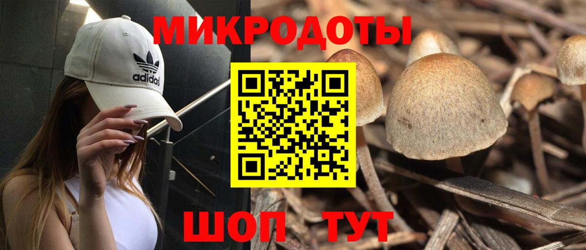 Псилоцибиновые грибы MAGIC MUSHROOMS  Вход с VPN  Красноярск 